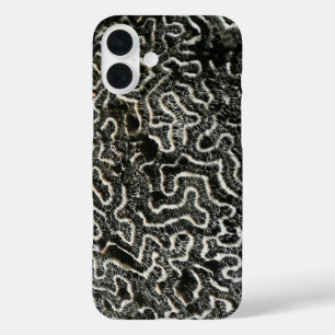 Coques iPhone 16 Plus Corail noir et blanc II Abstrait Nature Photo