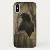 Corbeau foncé