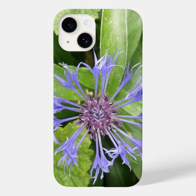 Coques Case-Mate iPhone Corfleur bleu (Verso)