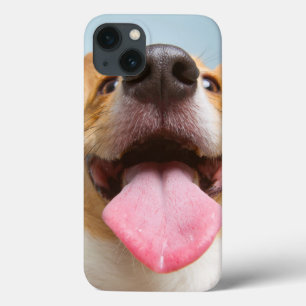 iPhone 13 Case Corgi très heureux des images de Getty