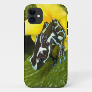 Etui iPhone Case-Mate Costa Rica, péninsule d'Osa
