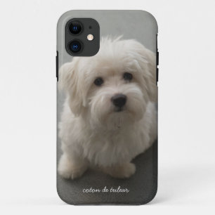 Etui iPhone Case-Mate Coton de Tulear