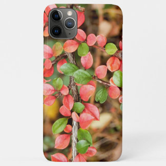 Case-Mate iPhone Case Cotonou horizontalis