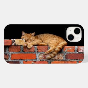 Coque Case-Mate iPhone Couchage de chat sur mur de brique