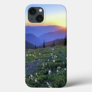 Etui iPhone 13 Coucher de soleil à Obstruciton Point, PN olympiqu