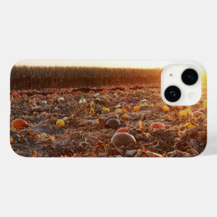 Coque Case-Mate iPhone Coucher de soleil au champ de citrouilles