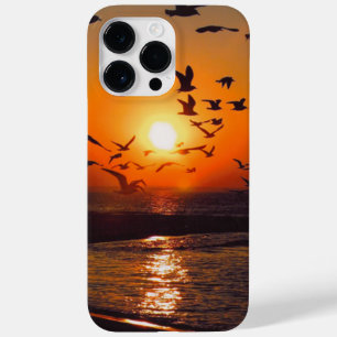 Coque Case-Mate iPhone Coucher de soleil sur le lac Érié