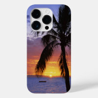 Coucher de soleil tropical avec palmier,