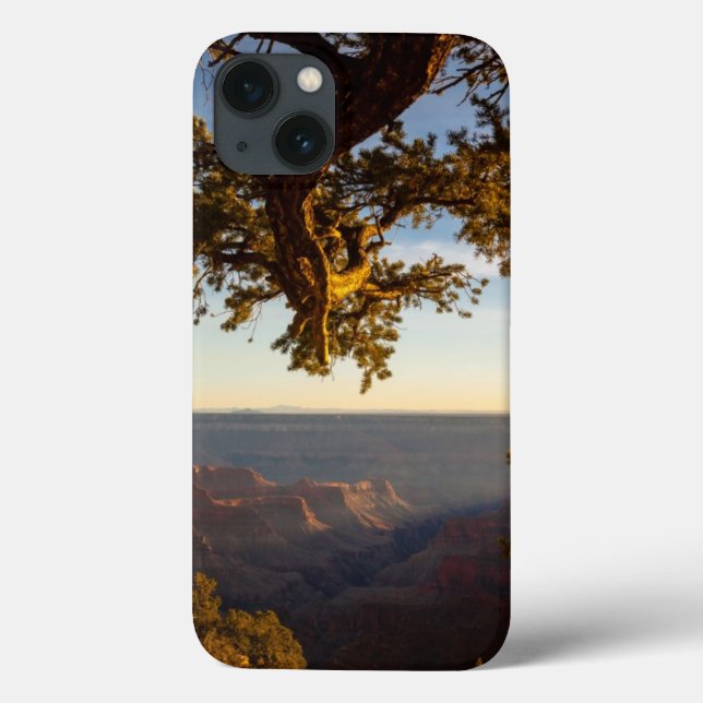 Coques Case-Mate iPhone Coucher du soleil au-dessus de canyon grand (Verso)