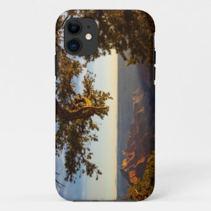 Coque Case-Mate Pour iPhone Coucher du soleil au-dessus de canyon grand