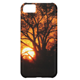 Coque iPhone 5C Coucher du soleil est du Texas
