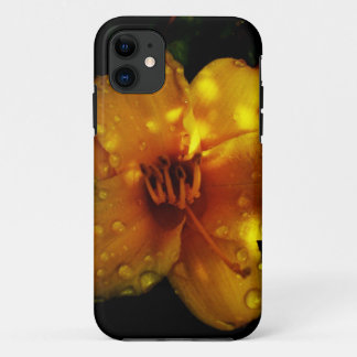 Coques Pour iPhone Coucher du soleil Stella