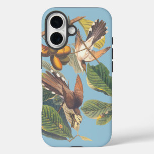 Coque Pour iPhone 16 Coucou à bec jaune Audubon