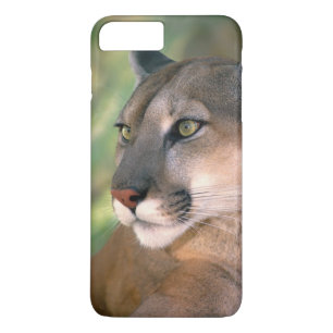Coque Case-Mate iPhone Cougar, Californie