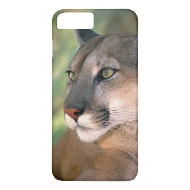 Coques Case-Mate iPhone Cougar, Californie (Dos)