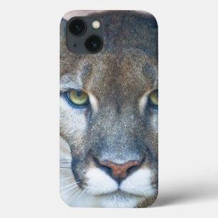 Coque Case-Mate iPhone Cougar, lion de montagne, panthère de Floride, Pum