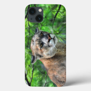 Etui iPhone 13 Cougar Mountain Lion & Pins d'été