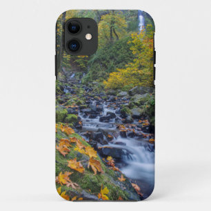 Coque iPhone 11 Couleur d'automne le long des chutes de Starvation