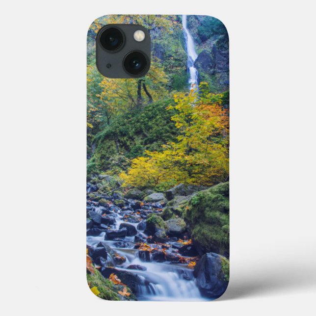 Coques Case-Mate iPhone Couleur d'automne le long des chutes de Starvation (Verso)