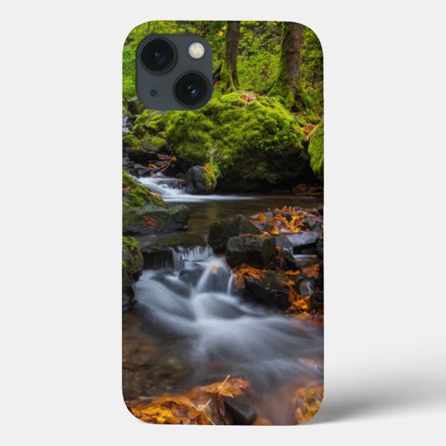 Coques Case-Mate iPhone Couleur d'automne le long des chutes de Starvation (Verso)