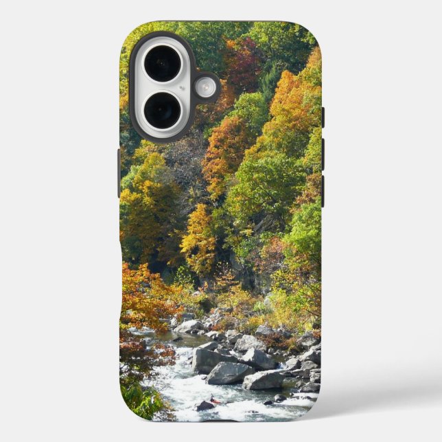 Coques Case-Mate iPhone Couleurs d'automne au parc d'État d'Ohiopyle (Verso)