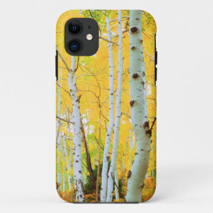 Coque iPhone 11 Couleurs d'automne des arbres d'Aspen 1