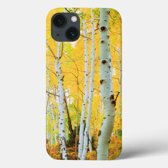 Coques Case-Mate iPhone Couleurs d'automne des arbres d'Aspen 1 (Verso)