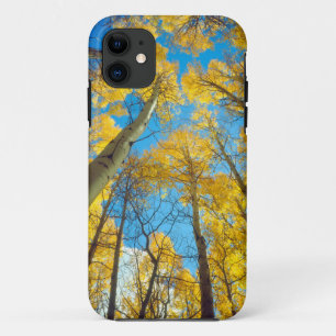Coques Pour iPhone Couleurs d'automne des arbres d'Aspen 2