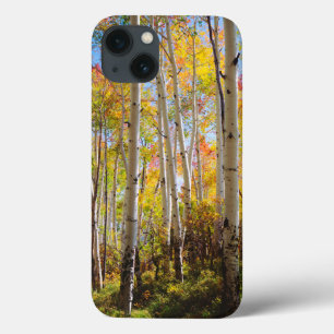 Coques Pour iPhone Couleurs d'automne des arbres Trembles 5