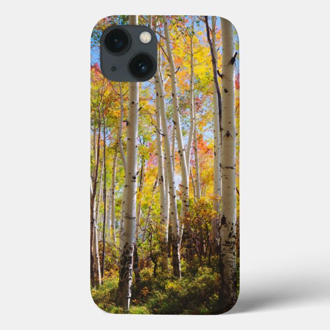 Coques Case-Mate iPhone Couleurs d'automne des arbres Trembles 5 (Verso)