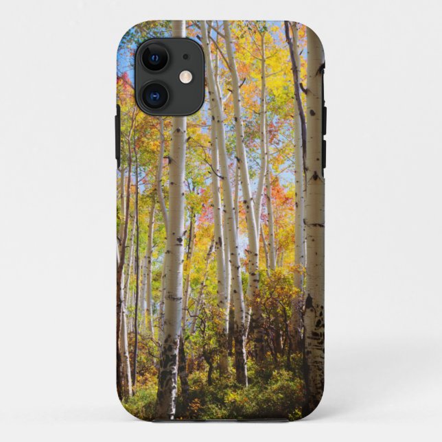 Coques Case-Mate iPhone Couleurs d'automne des arbres Trembles 5 (Dos)