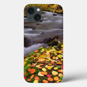 Coque Case-Mate iPhone Couleurs d'automne le long de McGee Creek