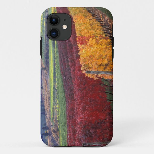 Coques Case-Mate iPhone Couleurs d'automne rouges et jaunes intenses sur G (Dos)