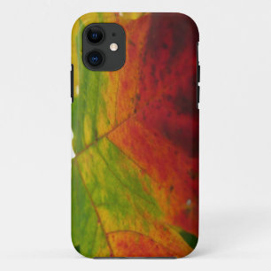 Coque Case-Mate Pour iPhone Couleurs de la feuille d'érable Automne Photograph