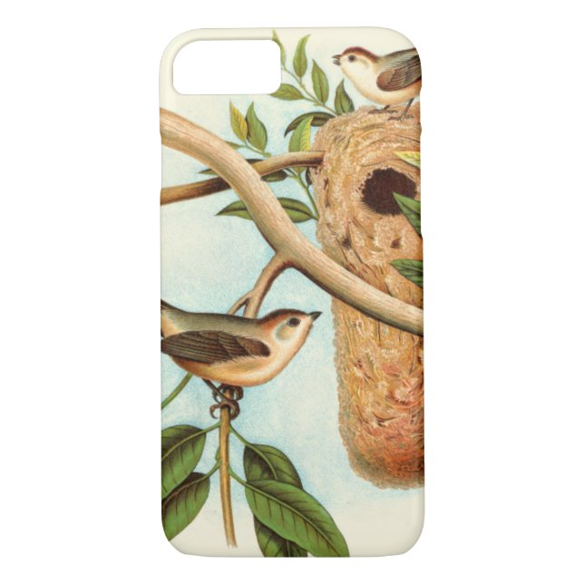 Coques Case-Mate iPhone Couple d'oiseaux sur un nid perché sur une branche (Dos)