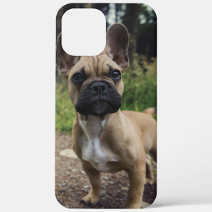 Case-Mate iPhone Case Coussin de lancer bouledogue français