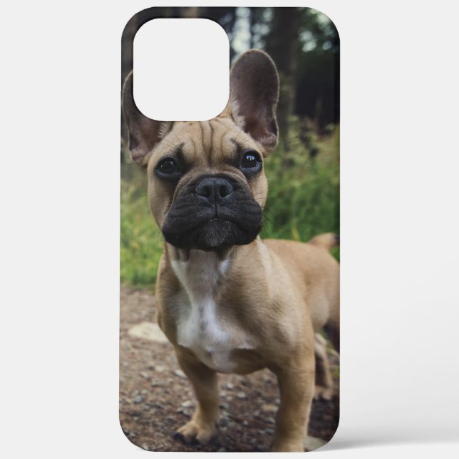 Coques Case-Mate iPhone Coussin de lancer bouledogue français (Verso)