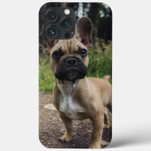 Case-Mate iPhone Case Coussin de lancer pour bouledogue français