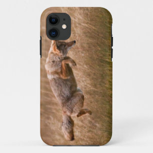 Coque iPhone 11 Coyote sautant - prés de gibbon