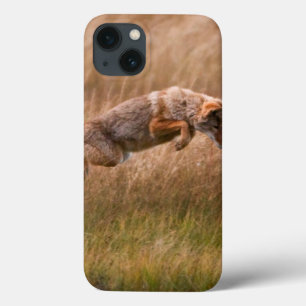 iPhone 13 Case Coyote sautant - prés de gibbon
