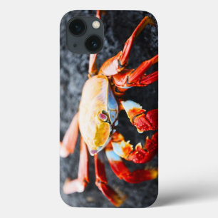 Etui iPhone Case-Mate Crabe de lightfoot de sortie sur une roche noire