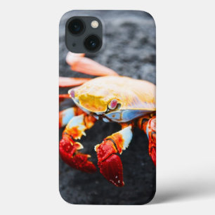 Etui iPhone Case-Mate Crabe de lightfoot de sortie sur une roche noire