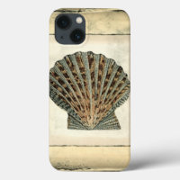 Créatures de mer par le rivage