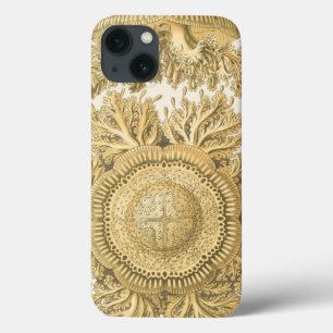 Etui iPhone 13 Créatures d'or de mer