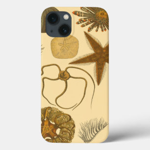 Case-Mate iPhone Case Créatures sous-marines de mer