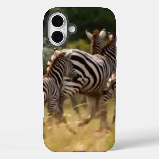 Coques Case-Mate iPhone Créez votre propre zèbre africain sur la piste (Verso)