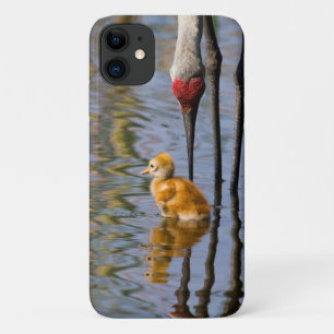 Case-Mate iPhone Case Crète de Sandhill adorable petit oiseau