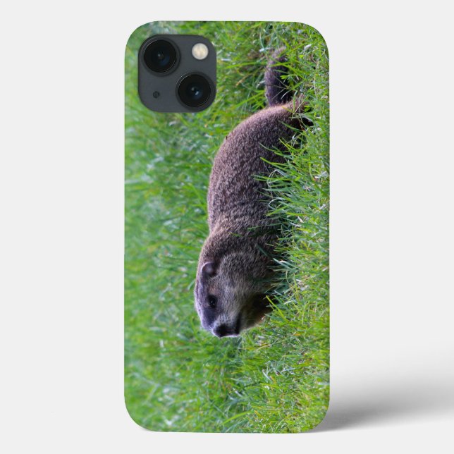 Coques Case-Mate iPhone Creuseur du trou du diable (Verso)
