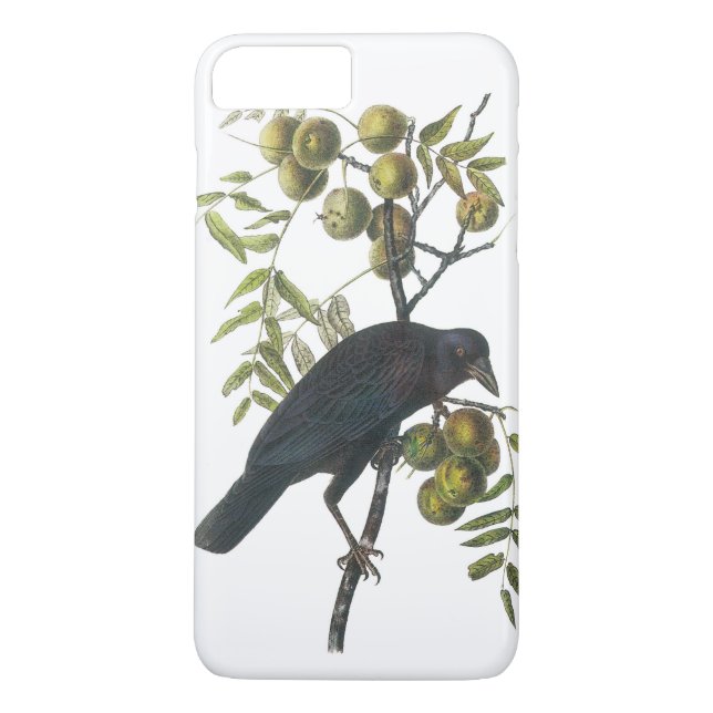 Coques Case-Mate iPhone Crow américain par Audubon (Dos)