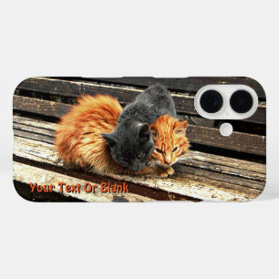 Coque Pour iPhone 16 Cuisses Catnap